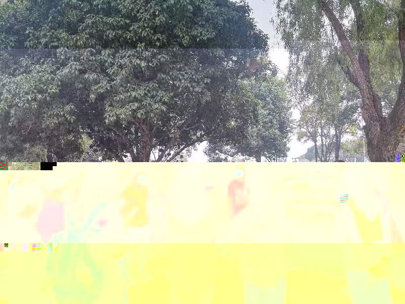 95b0f277f1f85e8289f02cdba84d039
